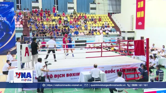 Hơn 500 vận động viên tham gia giải Vô địch Boxing trẻ toàn quốc