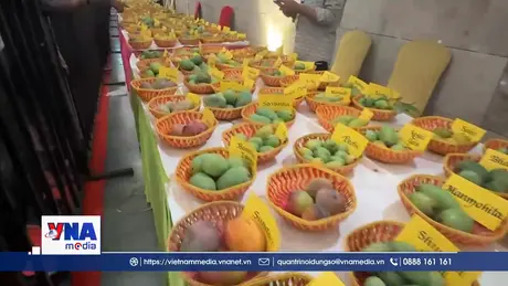 Thiên đường xoài giữa lòng New Delhi