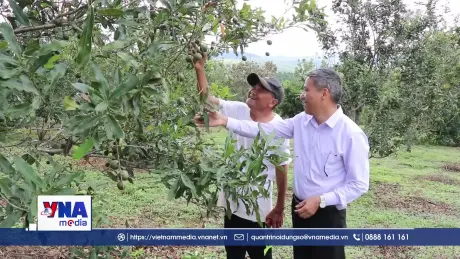 Sức bật kinh tế của xã vùng biên phía Tây Lâm Đồng