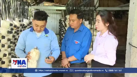 Vốn tín dụng chính sách tạo đòn bẩy cho thanh niên khởi nghiệp