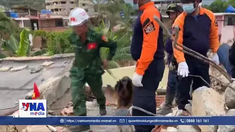 “Chiến binh 4 chân” góp sức khắc phục hậu quả động đất