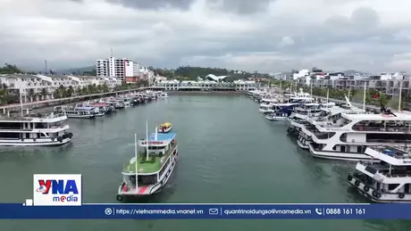 Quảng Ninh phát triển kinh tế biển bền vững