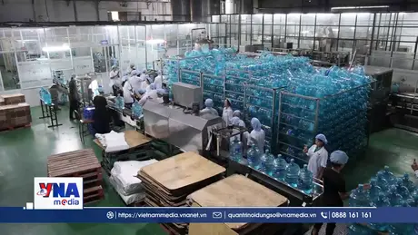 Tài sản carbon sẽ hiện diện trên báo cáo tài chính doanh nghiệp