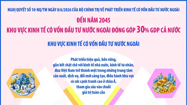 Đến năm 2045: Khu vực kinh tế có vốn đầu tư nước ngoài đóng góp 30%GDP cả nước