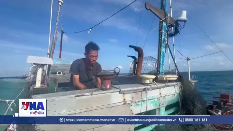 Bắt giữ tàu cá dùng số hiệu giả, vi phạm IUU nghiêm trọng