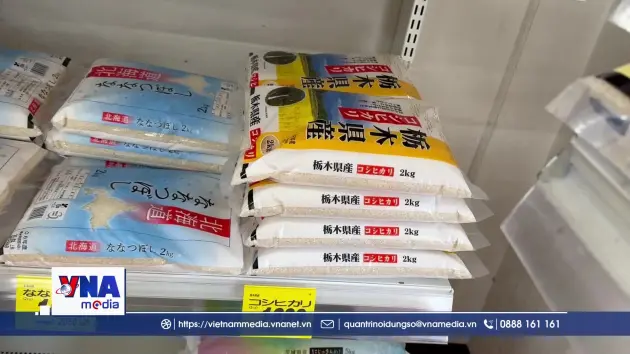Nhật Bản siết chặt quy định dự trữ gạo