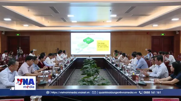 Cà Mau phát triển vùng lúa chất lượng cao, phát thải thấp