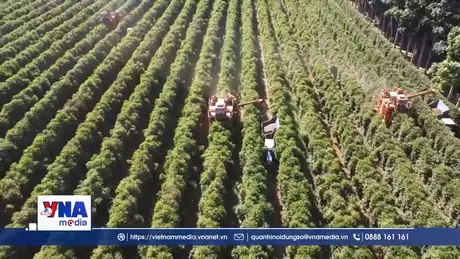 Ngành cà phê Mỹ kêu gọi tiếp tục miễn thuế cho nguyên liệu từ Brazil