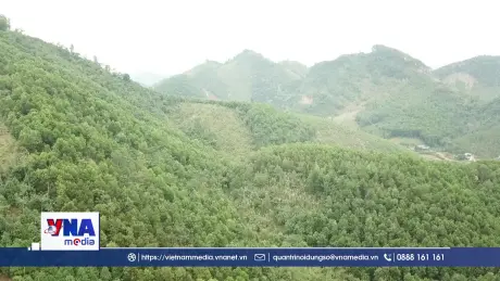 Xây dựng tài chính xanh và thị trường carbon trở thành trụ cột cốt lõi