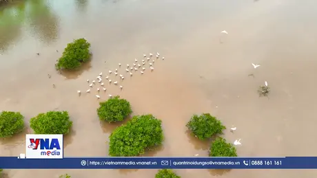 Mưu sinh giữa vùng đất ngập nước Xuân Thủy