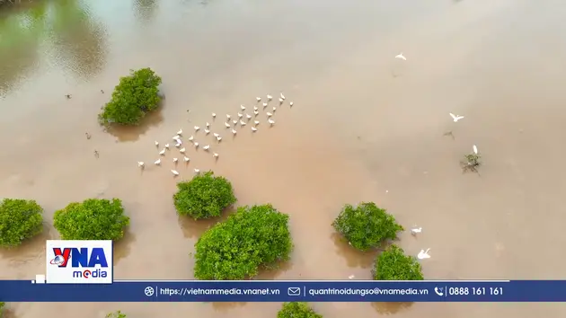 Mưu sinh giữa vùng đất ngập nước Xuân Thủy