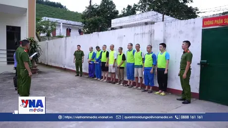 Triệt phá đường dây đánh bạc dưới hình thức cá độ bóng đá quy mô lớn