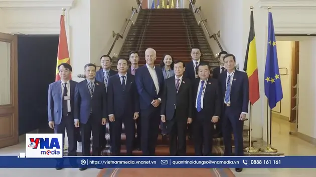 Thúc đẩy hợp tác nghị viện Việt Nam - Vương quốc Bỉ