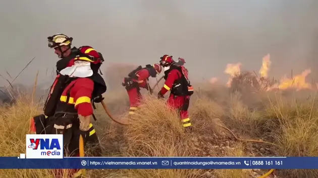 Hàng trăm người trở về nhà sau vụ cháy rừng nghiêm trọng tại Tây Ban Nha