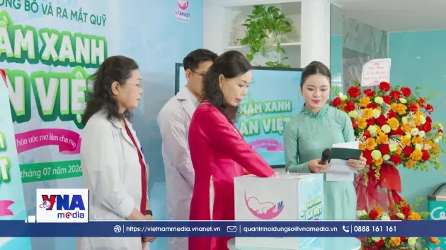 Quỹ Mầm Xanh An Việt - Thêm cơ hội cho hành trình tìm con