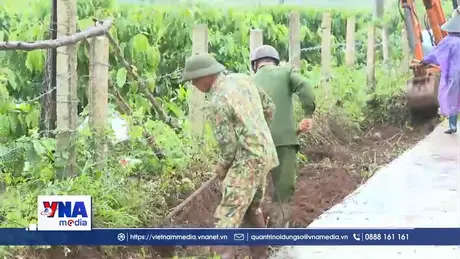 Gia Lai tăng cường phòng, chống dịch sốt xuất huyết