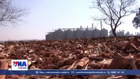Siêu El Niño có thể làm tăng giá lương thực toàn cầu đến năm 2028