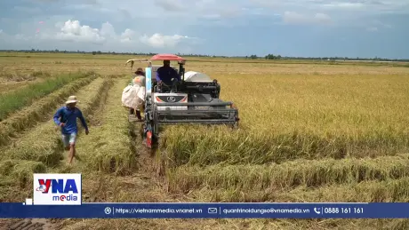 Đồng Tháp thúc đẩy phát triển kinh tế - xã hội khu vực biên giới