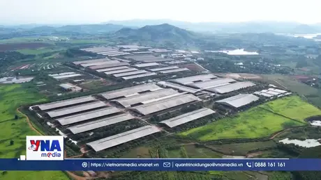 Tập trung đưa chuyển đổi xanh vào chiều sâu