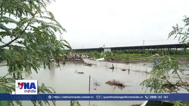 Cà Mau hỗ trợ người dân ảnh hưởng dông lốc ổn định đời sống