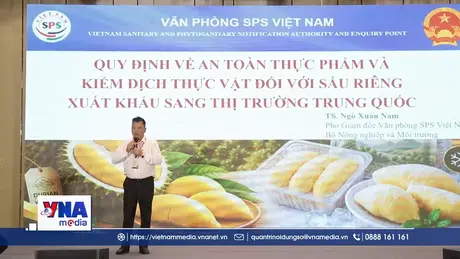 Hướng đi cạnh tranh cho sầu riêng xuất khẩu