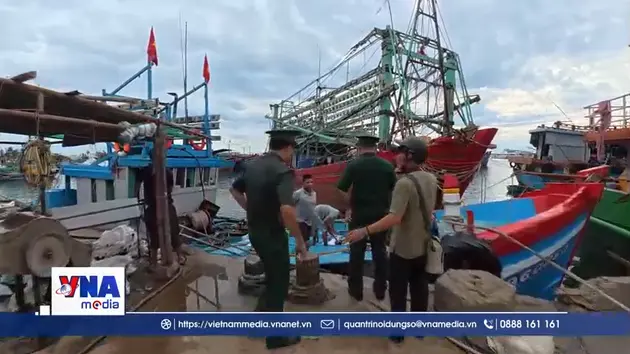 Lý Sơn siết chặt chống khai thác IUU