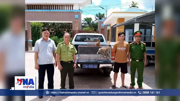 Tiếp nhận cứu hộ liên tiếp 6 cá thể động vật hoang dã quý hiếm