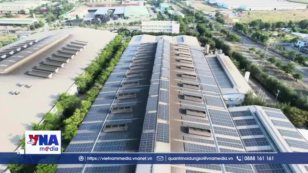 Việt Nam và cơ sở hiện thực hóa mục tiêu Net Zero