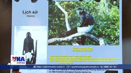Khẳng định giá trị toàn cầu Cảnh quan văn hóa - sinh thái Voọc mông trắng