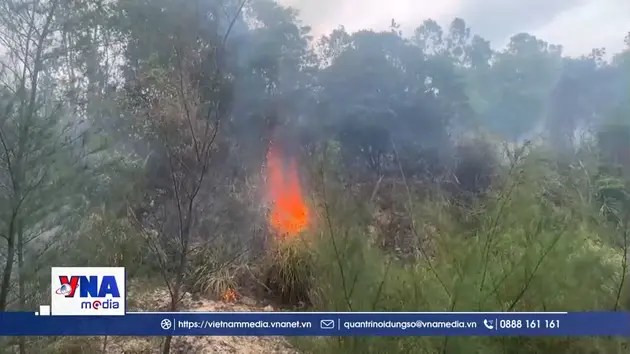 Kịp thời khống chế đám cháy thực bì dưới chân đèo Lý Hòa