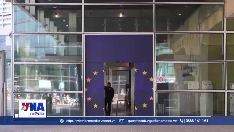 EU yêu cầu Google chia sẻ dữ liệu tìm kiếm