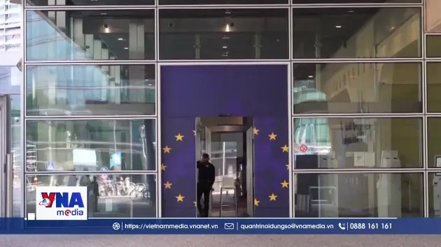 EU yêu cầu Google chia sẻ dữ liệu tìm kiếm