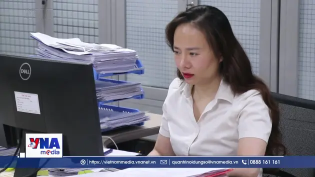 Hải Phòng triển khai cao điểm làm sạch mã số thuế