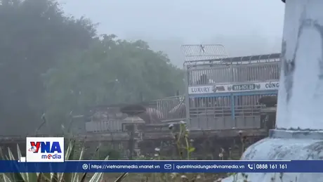 Quảng Trị: Bắt đường dây vận chuyển, mua bán hơn 250 tấn lợn bệnh