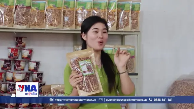 Hỗ trợ hộ kinh doanh tiếp cận thương mại số