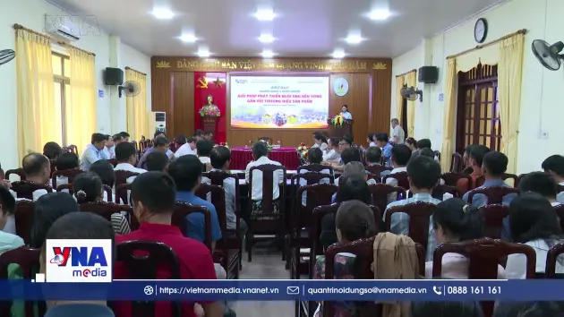 Nuôi ong bền vững gắn với thương hiệu sản phẩm