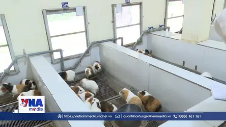 Bên trong Trại nuôi động vật thí nghiệm lớn nhất cả nước