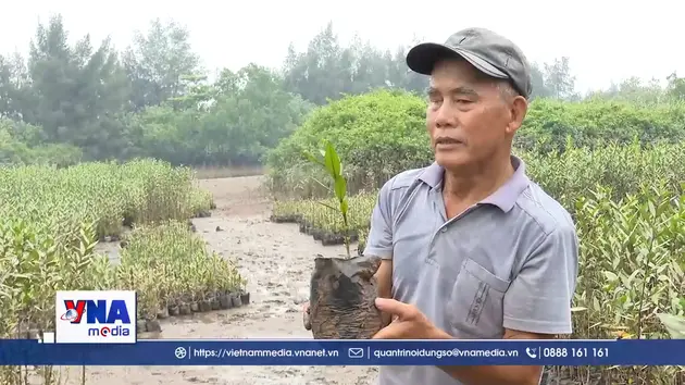 Cựu chiến binh hơn 40 năm giữ màu xanh của rừng