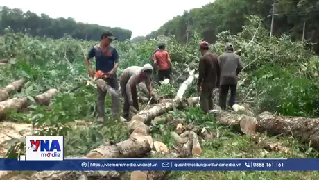 Ưu tiên thi công các đoạn tuyến giao thông kết nối sân bay Long Thành