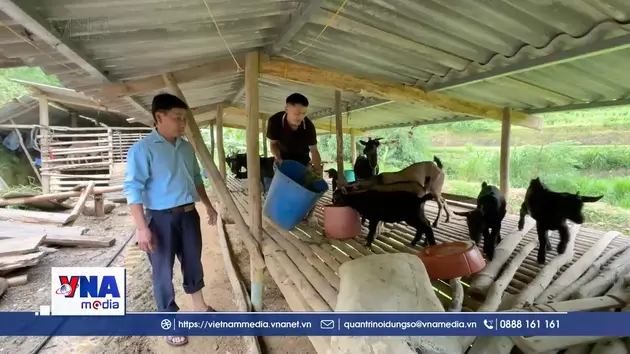 Đảng viên trẻ vùng cao tiên phong trong phát triển kinh tế