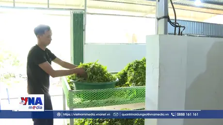 Nâng tầm giá trị nông sản Điện Biên