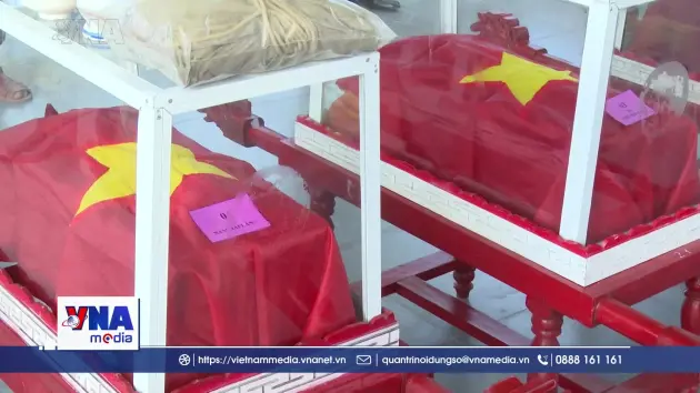 Quy tập 7 hài cốt liệt sĩ tại khu vực Câu Nhi, tỉnh Quảng Trị