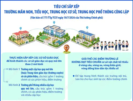 Tiêu chí sắp xếp trường mầm non, tiểu học, trung học cơ sở, trung học phổ thông công lập