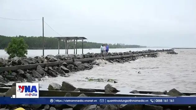 Tăng cường kiểm soát tuyến đê biển Tây trong mùa mưa bão