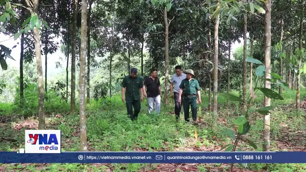 Những thương binh vượt khó làm kinh tế giỏi ở vùng cao Hưng Khánh