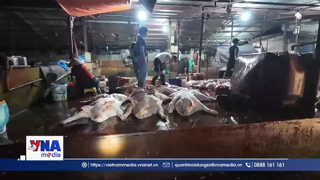 Quảng Ninh siết chặt hoạt động giết mổ gia súc