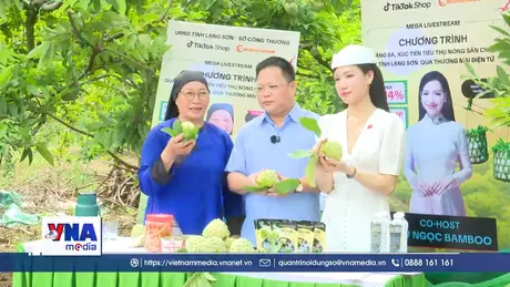 Đa dạng hình thức quảng bá, tiêu thụ đặc sản na núi đá Lạng Sơn