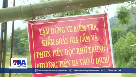 Khống chế ổ dịch cúm gia cầm H5N1 tại Tuyên Quang
