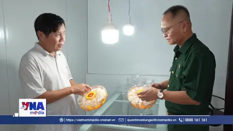 Phát huy phẩm chất bộ đội Cụ Hồ trên mặt trận kinh tế