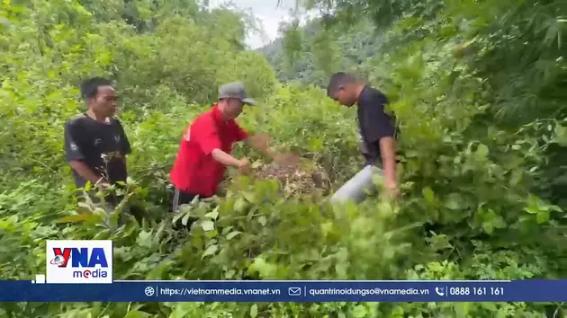 Tiếp nhận thông tin về phần mộ nữ liệt sĩ tại khu vực biên giới
